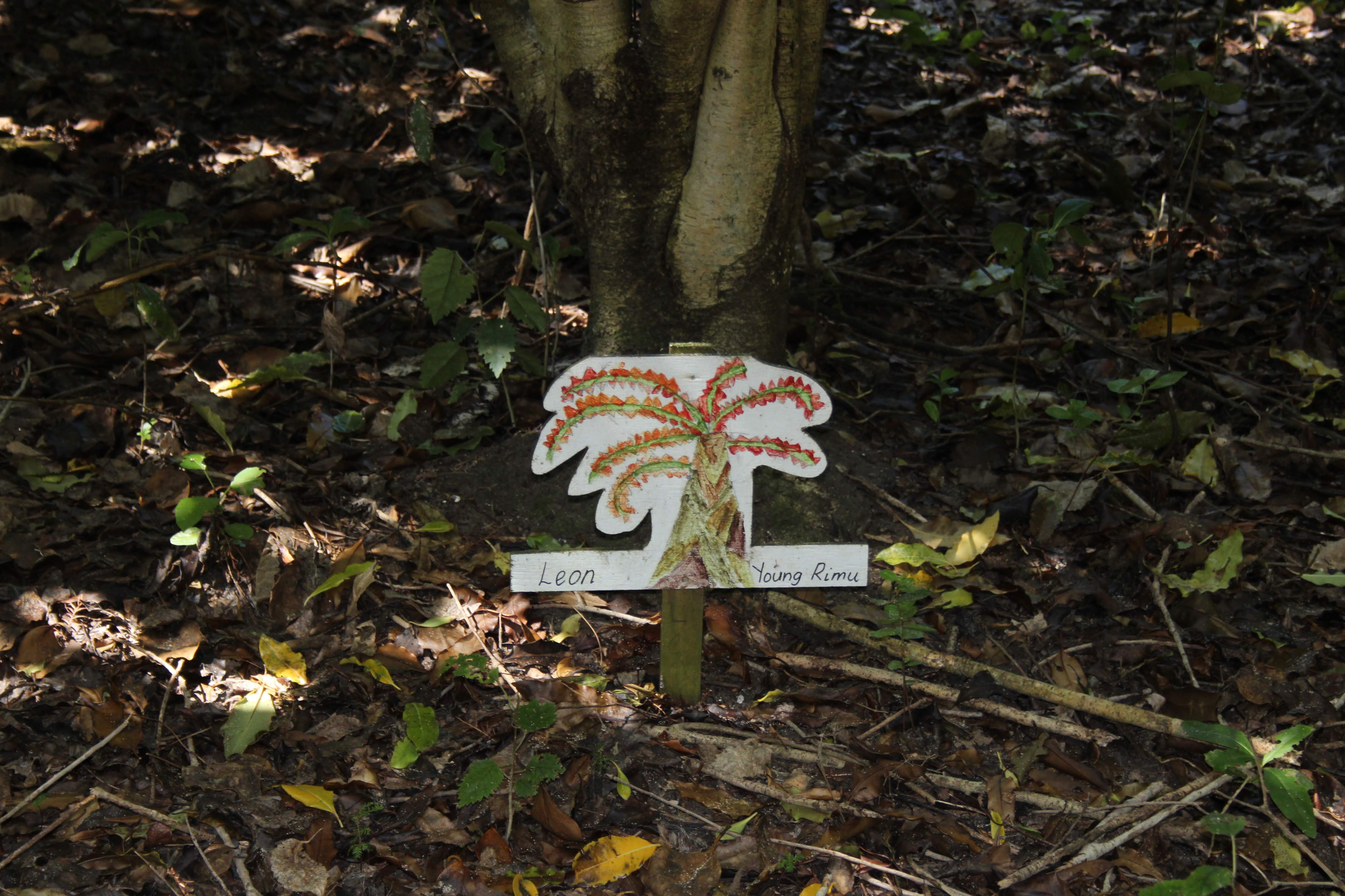 School involvement IMG 4358